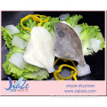 IQF Frozen John Dory fish Frozen PBO PBI